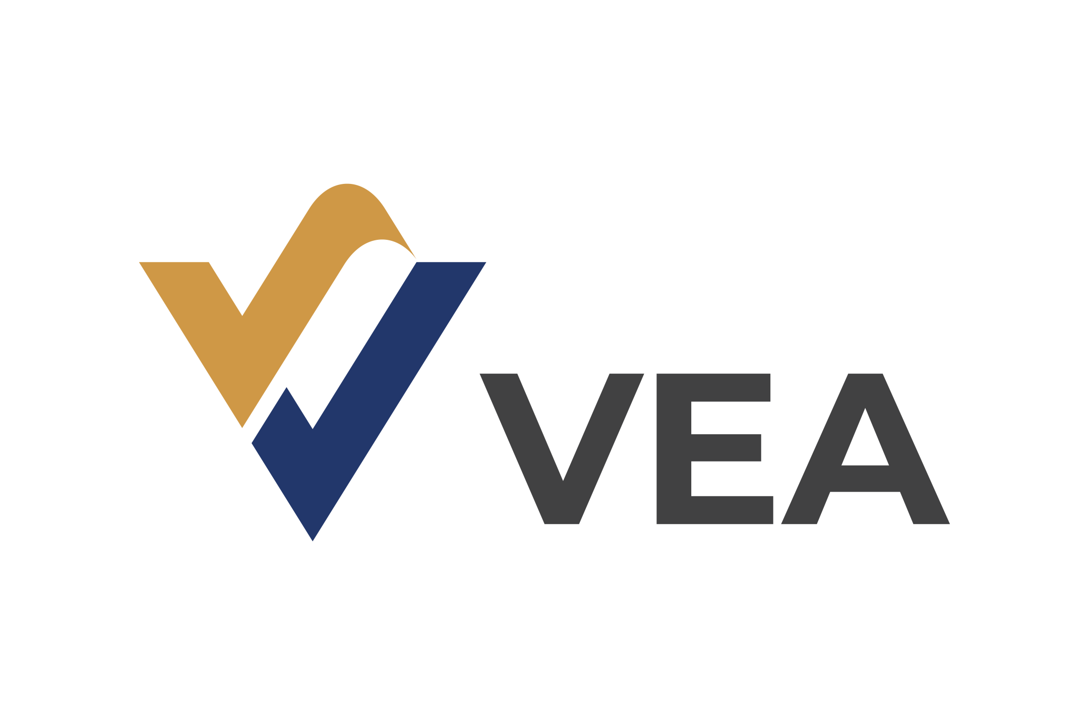 virtual-education-academy