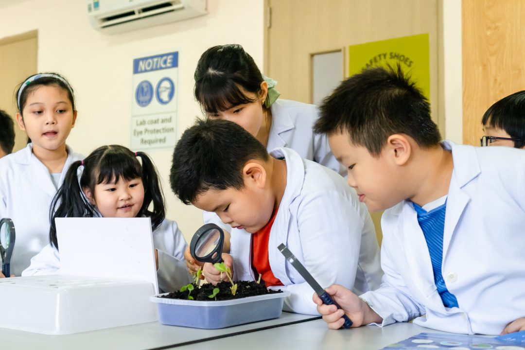 the-talent-development-academy-organizes-an-open-day-event-entitled-creative-summer-unlock-your-talents