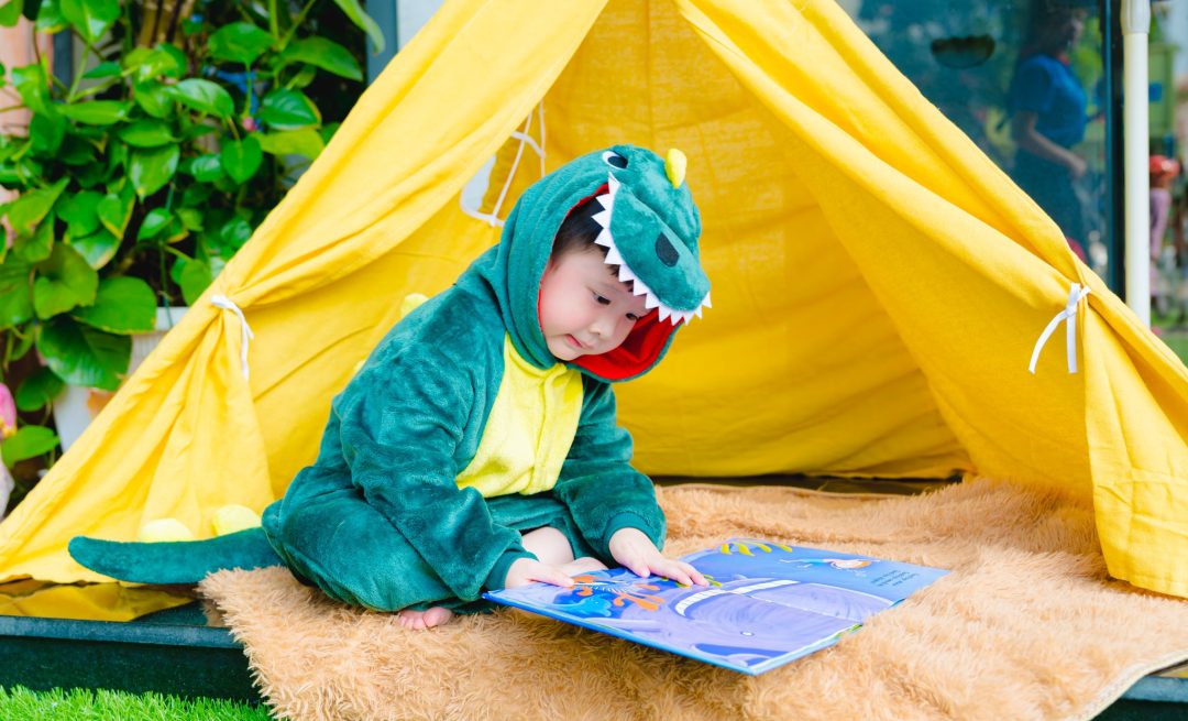 an-adventure-into-the-world-of-books-with-little-wassers